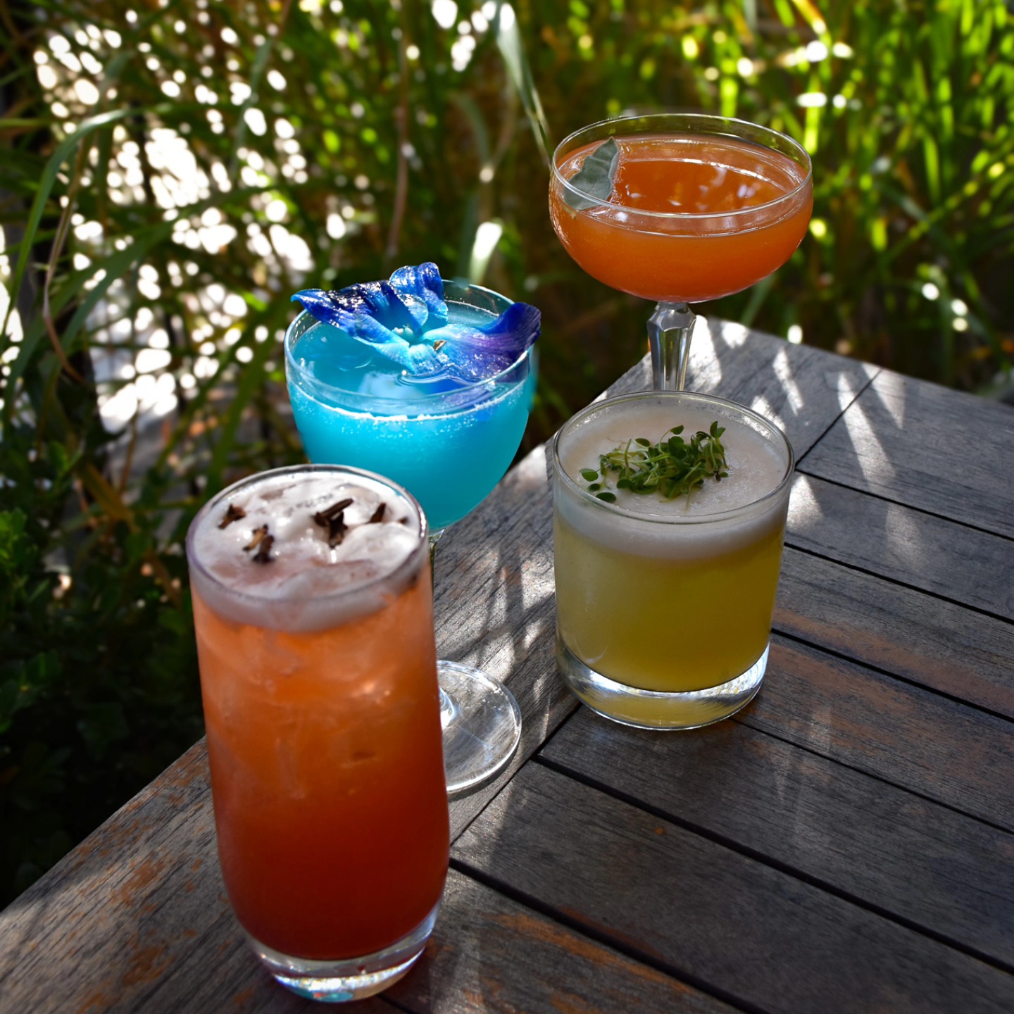 Harvest Pizzeria seasonal cocktails